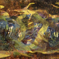 Metsälampi/Pond in a Forest, puupiirros/woodcut, 85x54cm, 2003